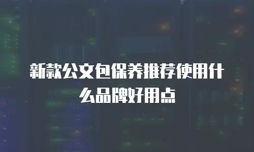 新款公文包保养推荐使用什么品牌好用点