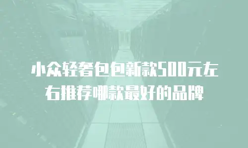 小众轻奢包包新款500元左右推荐哪款最好的品牌