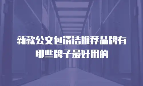 新款公文包清洁推荐品牌有哪些牌子最好用的