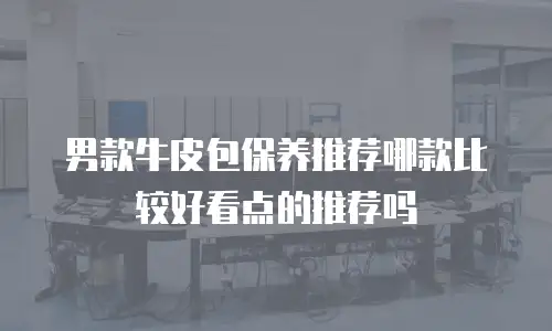 男款牛皮包保养推荐哪款比较好看点的推荐吗