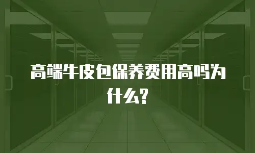 高端牛皮包保养费用高吗为什么?