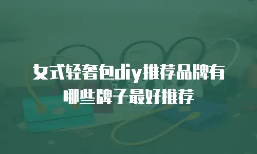 女式轻奢包diy推荐品牌有哪些牌子最好推荐
