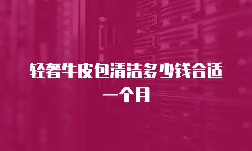 轻奢牛皮包清洁多少钱合适一个月