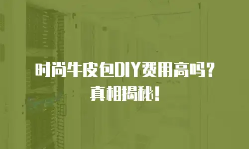 时尚牛皮包DIY费用高吗？真相揭秘！