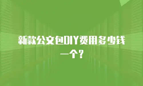 新款公文包DIY费用多少钱一个？