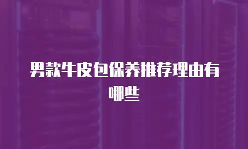 男款牛皮包保养推荐理由有哪些