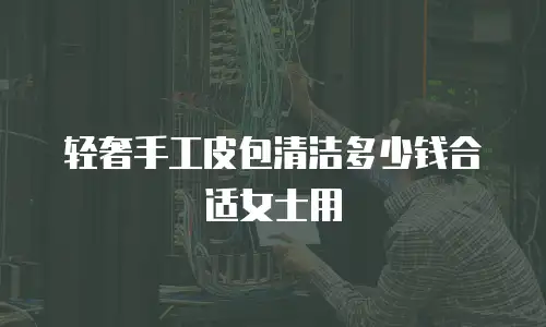 轻奢手工皮包清洁多少钱合适女士用
