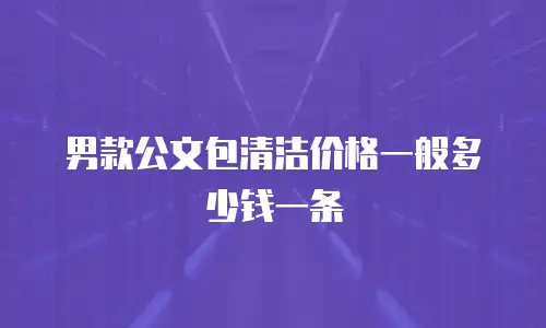 男款公文包清洁价格一般多少钱一条