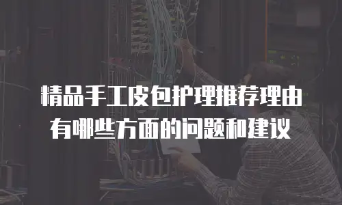 精品手工皮包护理推荐理由有哪些方面的问题和建议