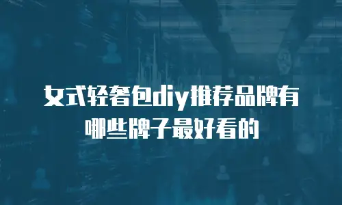 女式轻奢包diy推荐品牌有哪些牌子最好看的