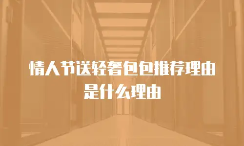 情人节送轻奢包包推荐理由是什么理由