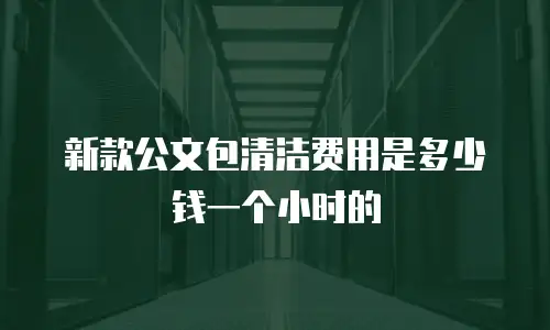 新款公文包清洁费用是多少钱一个小时的