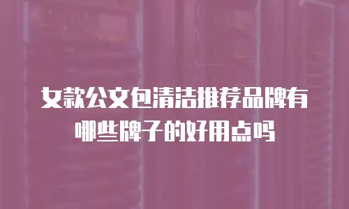 女款公文包清洁推荐品牌有哪些牌子的好用点吗