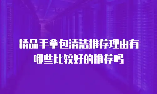 精品手拿包清洁推荐理由有哪些比较好的推荐吗