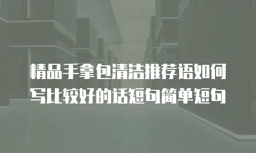 精品手拿包清洁推荐语如何写比较好的话短句简单短句
