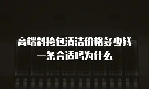 高端斜挎包清洁价格多少钱一条合适吗为什么