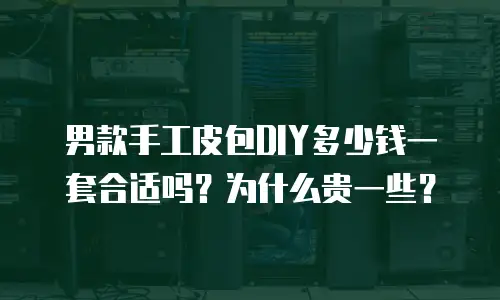 男款手工皮包DIY多少钱一套合适吗？为什么贵一些？