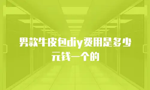 男款牛皮包diy费用是多少元钱一个的