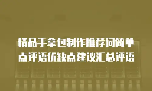 精品手拿包制作推荐词简单点评语优缺点建议汇总评语