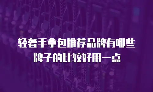 轻奢手拿包推荐品牌有哪些牌子的比较好用一点