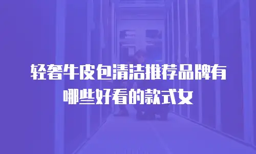 轻奢牛皮包清洁推荐品牌有哪些好看的款式女