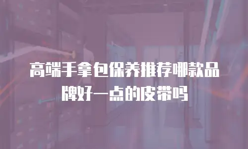 高端手拿包保养推荐哪款品牌好一点的皮带吗