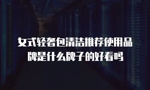 女式轻奢包清洁推荐使用品牌是什么牌子的好看吗
