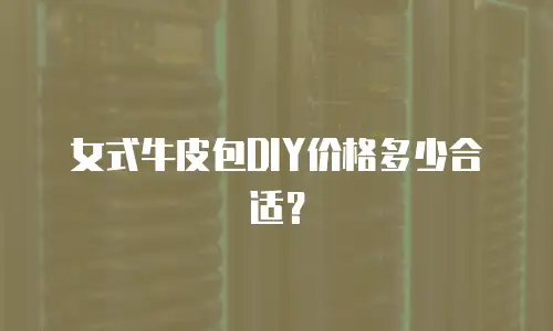女式牛皮包DIY价格多少合适？