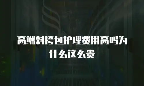 高端斜挎包护理费用高吗为什么这么贵