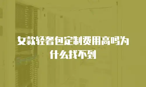 女款轻奢包定制费用高吗为什么找不到