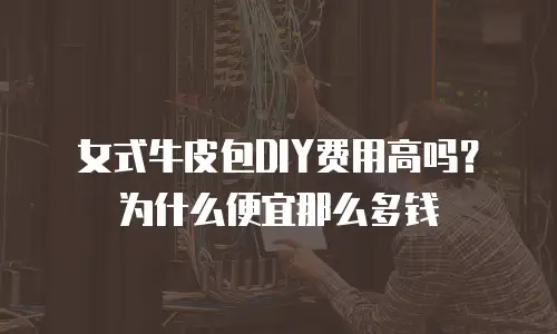 女式牛皮包DIY费用高吗？为什么便宜那么多钱