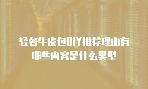 轻奢牛皮包DIY推荐理由有哪些内容是什么类型