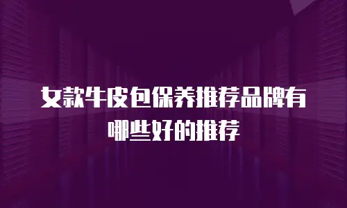 女款牛皮包保养推荐品牌有哪些好的推荐