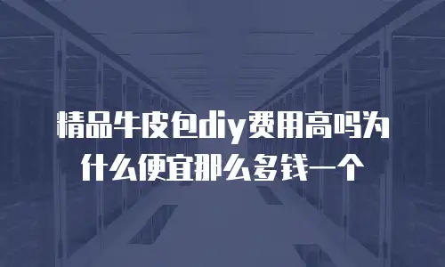 精品牛皮包diy费用高吗为什么便宜那么多钱一个