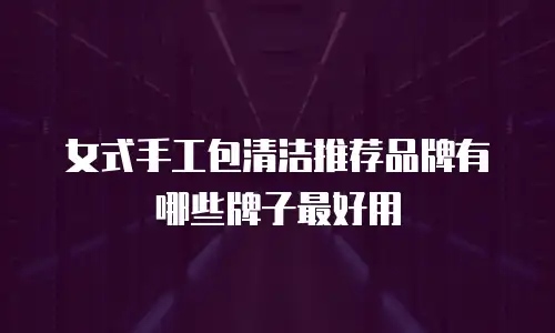 女式手工包清洁推荐品牌有哪些牌子最好用