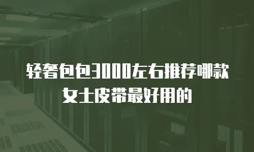 轻奢包包3000左右推荐哪款女士皮带最好用的