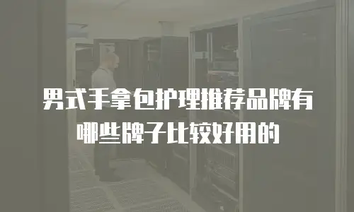 男式手拿包护理推荐品牌有哪些牌子比较好用的