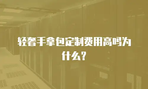 轻奢手拿包定制费用高吗为什么？