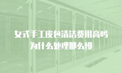 女式手工皮包清洁费用高吗为什么处理那么慢