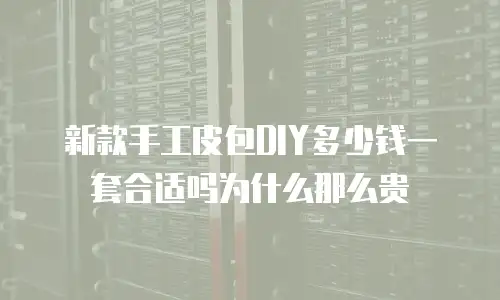 新款手工皮包DIY多少钱一套合适吗为什么那么贵