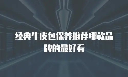 经典牛皮包保养推荐哪款品牌的最好看