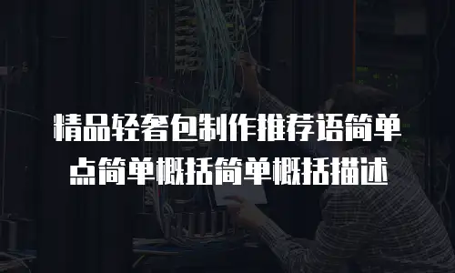 精品轻奢包制作推荐语简单点简单概括简单概括描述