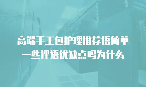 高端手工包护理推荐语简单一些评语优缺点吗为什么