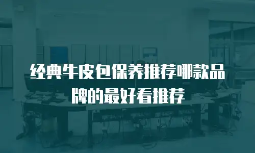 经典牛皮包保养推荐哪款品牌的最好看推荐