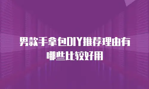 男款手拿包DIY推荐理由有哪些比较好用