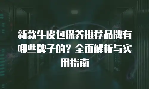 新款牛皮包保养推荐品牌有哪些牌子的？全面解析与实用指南