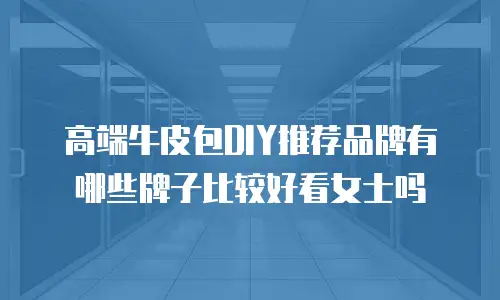 高端牛皮包DIY推荐品牌有哪些牌子比较好看女士吗