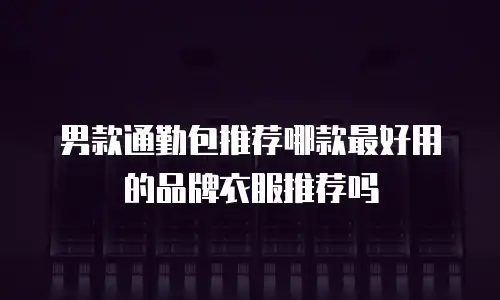 男款通勤包推荐哪款最好用的品牌衣服推荐吗