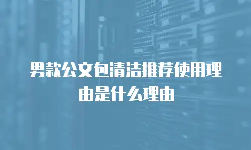 男款公文包清洁推荐使用理由是什么理由