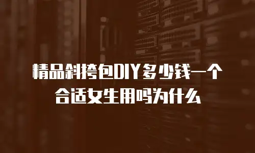 精品斜挎包DIY多少钱一个合适女生用吗为什么
